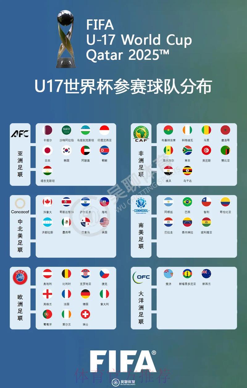 全面解析世界杯各参赛球队详细信息